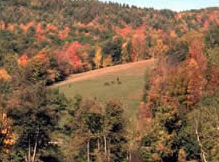 Rolling land in the fall in Vermont